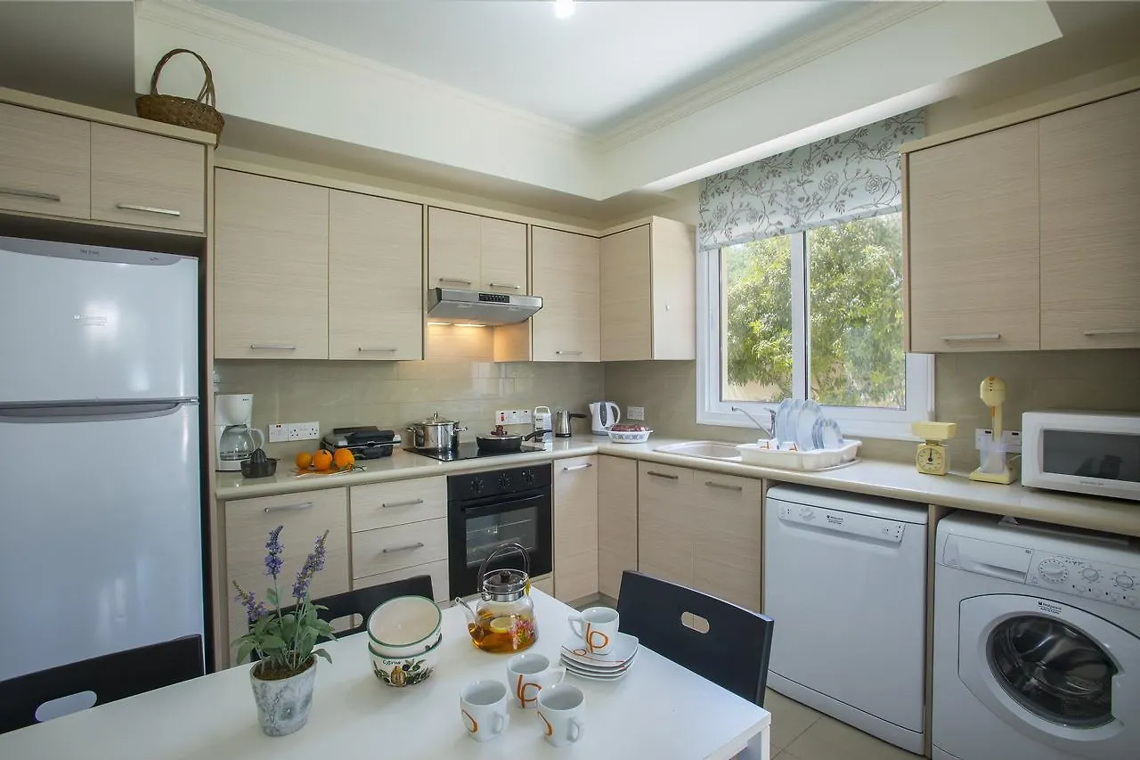 Villa Eleni Protaras 0*,